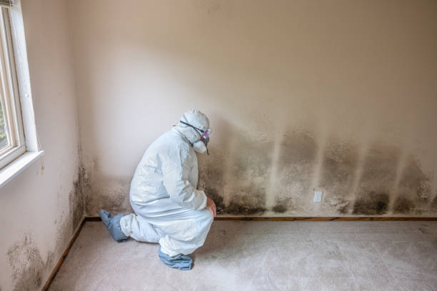 Mold Remediation for Rental Properties in Hebron, NE